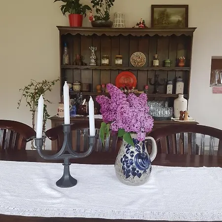 Sura Lu' Vasile. Bed & Breakfast Crivina (Brasov)