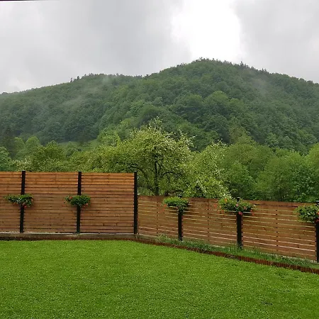 Sura Lu' Vasile. Crivina (Brasov)